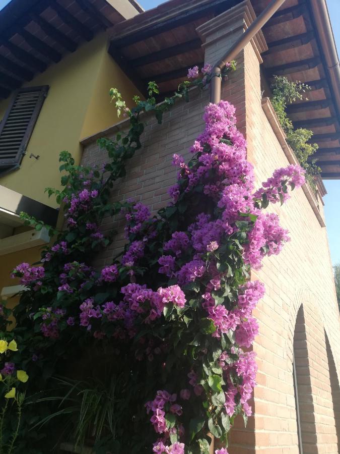 Casolare Isabella "Il Rifugio Dei Vinili" And Alice'S Room Ponsacco Dış mekan fotoğraf